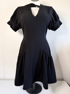 Proenza Schouler Puffed Sleeve V-neck Fit and Flare Dress 6